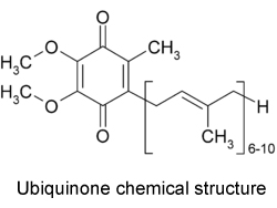 Photo of Coenzyme Q10 (CoQ10)