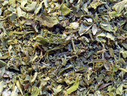 Photo of Herbal Extracts