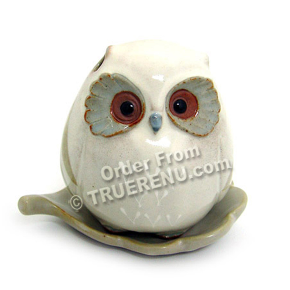 PHOTO TO COME: Shoyeido HandCrafted Premium Incense Burner - Baby Owl