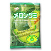 Photo of Japanese Fruit Gummy Candy from Kasugai - Melon - 102g